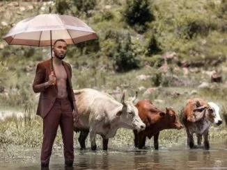 Zulu Mkhathini, Spirit Of Ubuntu, download ,zip, zippyshare, fakaza, EP, datafilehost, album, Afro House, Afro House 2021, Afro House Mix, Afro House Music, Afro Tech, House Music