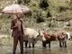 Zulu Mkhathini, Spirit Of Ubuntu, download ,zip, zippyshare, fakaza, EP, datafilehost, album, Afro House, Afro House 2021, Afro House Mix, Afro House Music, Afro Tech, House Music