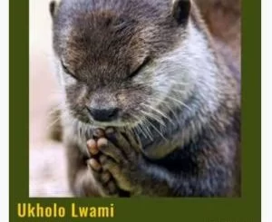 Aw’DJ Mara, Ukholo Lwami, Gqom Remix, mp3, download, datafilehost, toxicwap, fakaza, Gqom Beats, Gqom Songs, Gqom Music, Gqom Mix, House Music