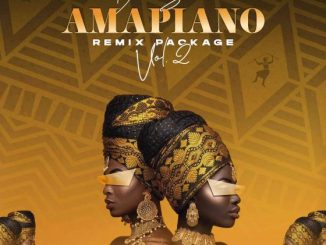 BeeSoul, Amapiano Remix Package Vol. 2, download ,zip, zippyshare, fakaza, EP, datafilehost, album, House Music, Amapiano, Amapiano 2021, Amapiano Mix, Amapiano Music