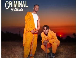 Blaq Diamond, Ama Criminal Records, mp3, download, datafilehost, toxicwap, fakaza,Pop Music, Pop, Afro-Pop