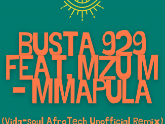 Busta 929, Mmapula, Vida-soul AfroTech Unofficial Remix, Mzu M, mp3, download, datafilehost, toxicwap, fakaza, House Music, Amapiano, Amapiano 2021, Amapiano Mix, Amapiano Music
