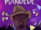 Charisma, Mandede, Gemini Major, Toast, mp3, download, datafilehost, toxicwap, fakaza, Hiphop, Hip hop music, Hip Hop Songs, Hip Hop Mix, Hip Hop, Rap, Rap Music