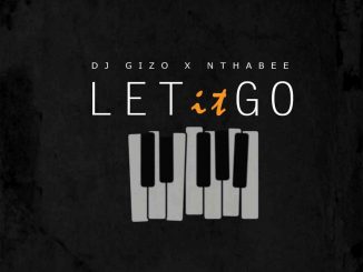 DJ Gizo, Let It Go, Nthabee, mp3, download, datafilehost, toxicwap, fakaza, House Music, Amapiano, Amapiano 2021, Amapiano Mix, Amapiano Music