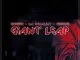 Da Vynalist, Giant Leap, mp3, download, datafilehost, toxicwap, fakaza, House Music, Amapiano, Amapiano 2021, Amapiano Mix, Amapiano Music