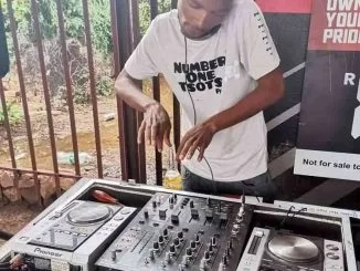 Fentse De Djy, Next Level Vol.15 Mix, mp3, download, datafilehost, toxicwap, fakaza, House Music, Amapiano, Amapiano 2021, Amapiano Mix, Amapiano Music