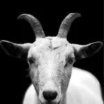 G-God, G269, Tech mix, mp3, download, datafilehost, toxicwap, fakaza, Afro House, Afro House 2021, Afro House Mix, Afro House Music, Afro Tech, House Music