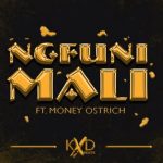 KXD BEATS, Ngfuni Mali, Money Ostrich, mp3, download, datafilehost, toxicwap, fakaza, House Music, Amapiano, Amapiano 2021, Amapiano Mix, Amapiano Music