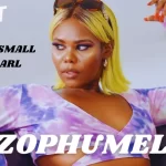Kabza De Small, Ndizophumelela, Nia Pearl, mp3, download, datafilehost, toxicwap, fakaza, House Music, Amapiano, Amapiano 2021, Amapiano Mix, Amapiano Music