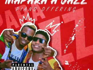 Mapara A Jazz, Shishiliza, Bizizi, Kaygee Daking, mp3, download, datafilehost, toxicwap, fakaza, House Music, Amapiano, Amapiano 2021, Amapiano Mix, Amapiano Music