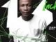 Mdu aka trp, Bongza, Familiar, Nkulee, mp3, download, datafilehost, toxicwap, fakaza, House Music, Amapiano, Amapiano 2021, Amapiano Mix, Amapiano Music