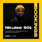 Nkulee 501, Superfly, Main Mix, mp3, download, datafilehost, toxicwap, fakaza, House Music, Amapiano, Amapiano 2021, Amapiano Mix, Amapiano Music