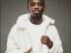 Nkulee501, Skroef28, The Armored Pangolin, Deeper Mix, mp3, download, datafilehost, toxicwap, fakaza, House Music, Amapiano, Amapiano 2021, Amapiano Mix, Amapiano Music