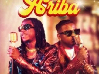 Stonebwoy, Focalistic, Ariba, mp3, download, datafilehost, toxicwap, fakaza, House Music, Amapiano, Amapiano 2021, Amapiano Mix, Amapiano Music