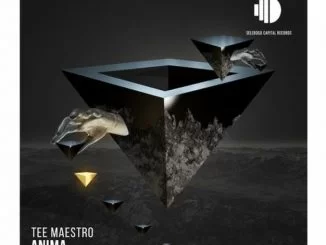 Tee Maestro, Anima, download ,zip, zippyshare, fakaza, EP, datafilehost, album, Soulful House Mix, Soulful House, Soulful House Music, House Music