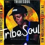 TribeSoul, Bido Vega, Nkulee 501, Badimo,Amadlozi, mp3, download, datafilehost, toxicwap, fakaza, House Music, Amapiano, Amapiano 2021, Amapiano Mix, Amapiano Music