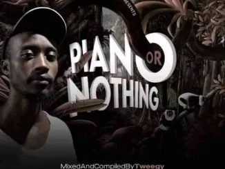 Tweegy, Piano Or Nothing Vol 2 Mix, mp3, download, datafilehost, toxicwap, fakaza, House Music, Amapiano, Amapiano 2021, Amapiano Mix, Amapiano Music