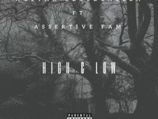 Westar’Uzosdlalela, High, Low, Assertive Fam, mp3, download, datafilehost, toxicwap, fakaza, Gqom Beats, Gqom Songs, Gqom Music, Gqom Mix, House Music