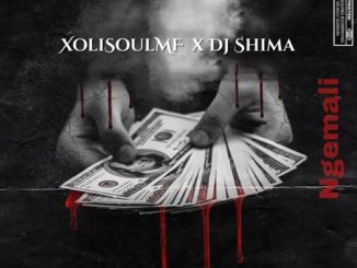 XoliSoulMF, Ngemali, DJ Shima, mp3, download, datafilehost, toxicwap, fakaza, House Music, Amapiano, Amapiano 2021, Amapiano Mix, Amapiano Music