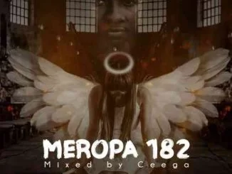 Ceega, Meropa 182 Mix, I Just Wanna live, Play House Music, mp3, download, datafilehost, toxicwap, fakaza, House Music, Amapiano, Amapiano 2021, Amapiano Mix, Amapiano Music
