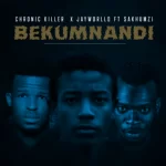 Chronic Killer, Bekumnandi, Jayworlld, Sakhumz, mp3, download, datafilehost, toxicwap, fakaza, Afro House, Afro House 2021, Afro House Mix, Afro House Music, Afro Tech, House Music