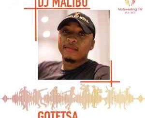 DJ Malibu, Motsweding FM Mix 53, mp3, download, datafilehost, toxicwap, fakaza, House Music, Amapiano, Amapiano 2021, Amapiano Mix, Amapiano Music