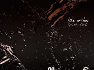 DJ Switch, Like Water, PdotO, download ,zip, zippyshare, fakaza, EP, datafilehost, album, Hiphop, Hip hop music, Hip Hop Songs, Hip Hop Mix, Hip Hop, Rap, Rap Music