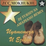 DJ Tuksin, ZCC Mokhukhu, Tshivhidzelwa Amapiano Remix, mp3, download, datafilehost, toxicwap, fakaza, House Music, Amapiano, Amapiano 2021, Amapiano Mix, Amapiano Music