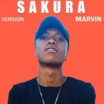 Marvin Larrys, Sakura, mp3, download, datafilehost, toxicwap, fakaza, House Music, Amapiano, Amapiano 2021, Amapiano Mix, Amapiano Music
