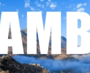 Mfana ka Gogo, Hamba, Mdu aka TRP, Kabza de Small, mp3, download, datafilehost, toxicwap, fakaza, House Music, Amapiano, Amapiano 2021, Amapiano Mix, Amapiano Music