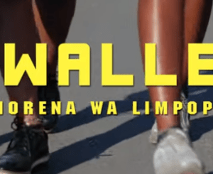 Morena Wa Limpopo, Ewallet, mp3, download, datafilehost, toxicwap, fakaza, Afro House, Afro House 2021, Afro House Mix, Afro House Music, Afro Tech, House Music