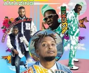 PDogg Amazing, Feeling The Vibe, Okmalumkoolkat, Blxckie, mp3, download, datafilehost, toxicwap, fakaza, Hiphop, Hip hop music, Hip Hop Songs, Hip Hop Mix, Hip Hop, Rap, Rap Music