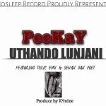 Peekay, Uthando Lunjani,Toxic Emh, Senah Da Poet, mp3, download, datafilehost, toxicwap, fakaza, House Music, Amapiano, Amapiano 2021, Amapiano Mix, Amapiano Music