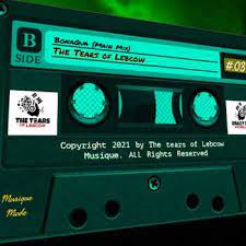 The Tears of Lebcow, Bonaqua, Main Mix, mp3, download, datafilehost, toxicwap, fakaza, House Music, Amapiano, Amapiano 2021, Amapiano Mix, Amapiano Music