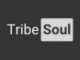 TribeSoul, C Section, Tech Feel, mp3, download, datafilehost, toxicwap, fakaza, House Music, Amapiano, Amapiano 2021, Amapiano Mix, Amapiano Music