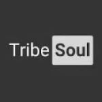 TribeSoul, C Section, Tech Feel, mp3, download, datafilehost, toxicwap, fakaza, House Music, Amapiano, Amapiano 2021, Amapiano Mix, Amapiano Music