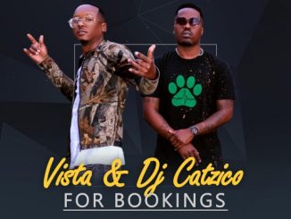 Vista, DJ Catzico, Istimela, JeayChroniQ, mp3, download, datafilehost, toxicwap, fakaza, Gqom Beats, Gqom Songs, Gqom Music, Gqom Mix, House Music