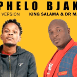 King Salama, Dr Malinga, Bophelo Bjaka, Official Audio, mp3, download, datafilehost, toxicwap, fakaza, House Music, Amapiano, Amapiano 2021, Amapiano Mix, Amapiano Music
