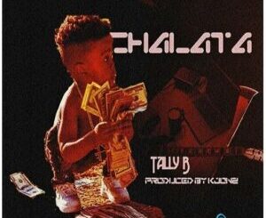 Tally B, Chalata, mp3, download, datafilehost, toxicwap, fakaza, Afro House, Afro House 2021, Afro House Mix, Afro House Music, Afro Tech, House Music