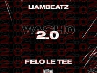 Felo Le Tee, Liam Beatz, Washo 2.0, download ,zip, zippyshare, fakaza, EP, datafilehost, album, House Music, Amapiano, Amapiano 2021, Amapiano Mix, Amapiano Music