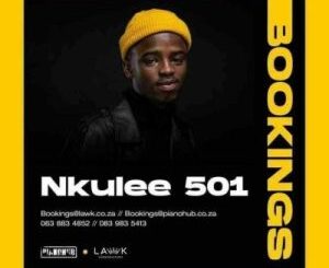 Nkulee501, Tribesoul, bbbbbb, Main Mix, mp3, download, datafilehost, toxicwap, fakaza, House Music, Amapiano, Amapiano 2021, Amapiano Mix, Amapiano Music