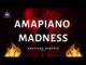 Amapiano Madness, Valentines Day, 2022 Tribute Mix, mp3, download, datafilehost, toxicwap, fakaza, House Music, Amapiano, Amapiano 2022, Amapiano Mix, Amapiano Music