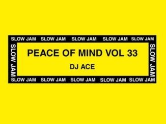 DJ Ace, Peace of Mind Vol 33, Classic House B2B Mix, mp3, download, datafilehost, toxicwap, fakaza, House Music, Amapiano, Amapiano 2022, Amapiano Mix, Amapiano Music