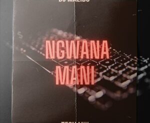 DJ Malibu, Ngwana Mani, Tech Mix, mp3, download, datafilehost, toxicwap, fakaza, House Music, Amapiano, Amapiano 2022, Amapiano Mix, Amapiano Music