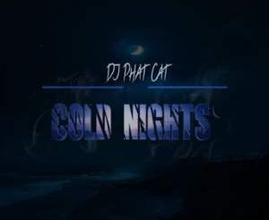 DJ Phat Cat, Cold Nights, mp3, download, datafilehost, toxicwap, fakaza, House Music, Amapiano, Amapiano 2022, Amapiano Mix, Amapiano Music