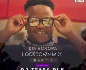 DJ Tears PLK, Dia Roropa Lockdown Mix, mp3, download, datafilehost, toxicwap, fakaza, House Music, Amapiano, Amapiano 2022, Amapiano Mix, Amapiano Music