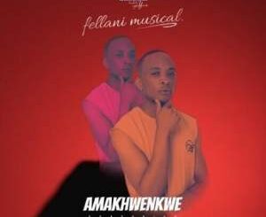 Fellani Musical, Amakhwenkwe, Dj Active, mp3, download, datafilehost, toxicwap, fakaza, House Music, Amapiano, Amapiano 2022, Amapiano Mix, Amapiano Music