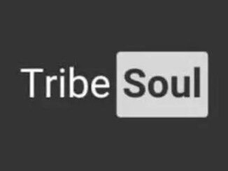 Tribesoul, Relay, Main Mix, mp3, download, datafilehost, toxicwap, fakaza, House Music, Amapiano, Amapiano 2022, Amapiano Mix, Amapiano Music