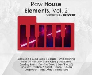 Various Artists, Raw House Elements, Vol. 2, Compiled by BisoDeep, download ,zip, zippyshare, fakaza, EP, datafilehost, album, Deep House Mix, Deep House, Deep House Music, Deep Tech, Afro Deep Tech, House Music