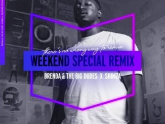 Brenda, The Big Dudes, Weekend Special,Shimza Remix, mp3, download, datafilehost, toxicwap, fakaza, Afro House, Afro House 2022, Afro House Mix, Afro House Music, Afro Tech, House Music